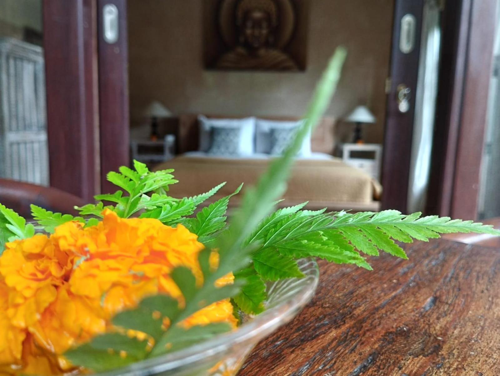 Umah Ubud Guest House Exterior photo